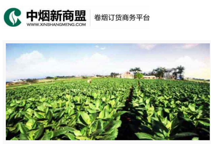 中烟新商盟卷烟订货商务平台-PA视讯国际